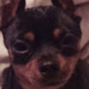 Meet your Posher, Tom